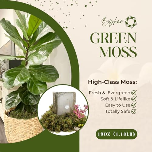 19 OZ Fake Moss for Potted Plants Indoor, Artificial Moss for DIY Crafts, Faux Decroative Moss for Fake Plants Home & Garden Wedding Decor (Fresh Green - 540gr)