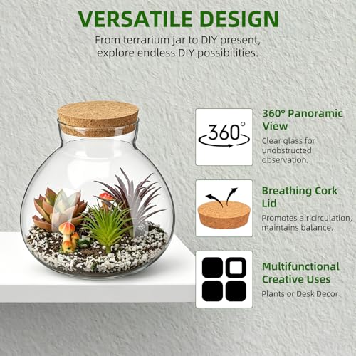 NUOBESTY 2 Pack Glass Terrarium Jar with Cork Lid, 6x6.3 Inch Closed Terrarium for Succulent Moss and Fern, DIY Miniature Desktop Garden for Home & Office Decor (No Plants)