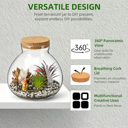 NUOBESTY 2 Pack Glass Terrarium Jar with Cork Lid, 6x6.3 Inch Closed Terrarium for Succulent Moss and Fern, DIY Miniature Desktop Garden for Home & Office Decor (No Plants)