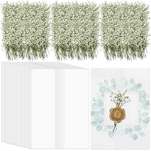 Fabbay 100 Pcs Wedding Invitations Wraps Set Include Pre Folded Vellum Jackets for 5 x 7 Inch Invitations Natural Dried Pressed Flowers for Wedding Craft DIY