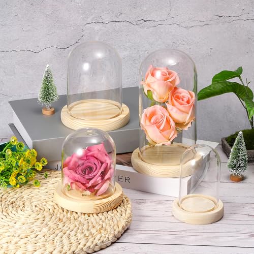 PATIKIL 4.7"x3.5" Clear Cloche Glass Dome, Glass Bell Jar Display Case Tabletop Centerpiece with Wooden Base for Plants Home Decor - size: 4.7"x3.5"