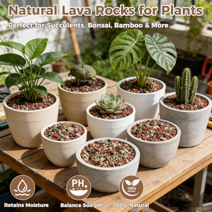 18lb Mix Lava Rocks for Plants 3/8" Horticultural Pumice for Plants, Succulent Cactus Soil Potting Mix - Horticultural Sand Aquarium Gravel Drainage Rocks for Potted Plant, Bonsai Soil, Top Dressing - size: 3/8 Inch