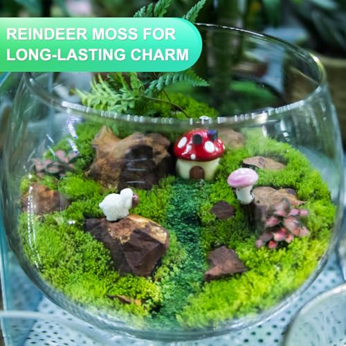 Preserved Reindeer Moss, 4 OZ Fake Moss for Crafts Artificial Dried Moss for Decoration, Craft, Terrariums, Potted Plants, Centerpieces Fairy Gardens (Light Green)