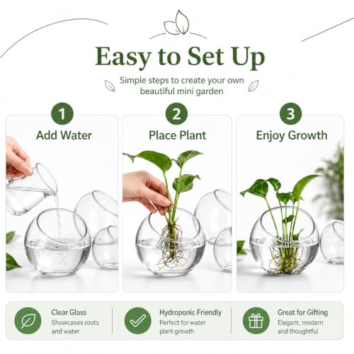 3 Pack Glass Terrarium Bowls for Air Plants, Clear Hydroponic Plant Propagation Vases with Wide Opening, Mini Indoor Garden Containers for Succulents, Pothos and Desk Decor