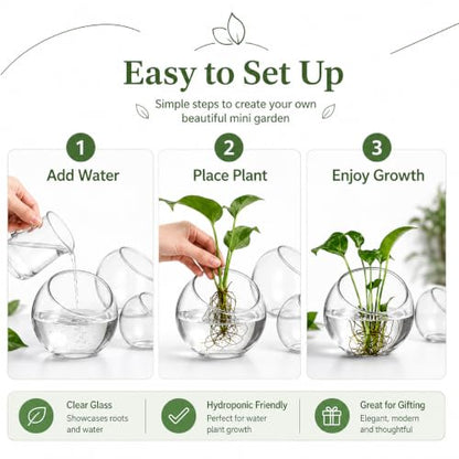 3 Pack Glass Terrarium Bowls for Air Plants, Clear Hydroponic Plant Propagation Vases with Wide Opening, Mini Indoor Garden Containers for Succulents, Pothos and Desk Decor