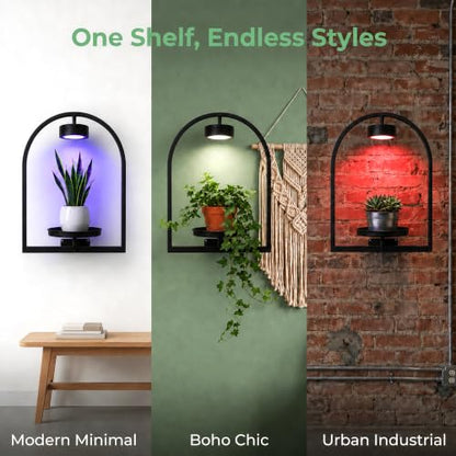 2 Pack Plant Wall Shelf with Grow Light, Wall Mounted Hanging Planter Shelf