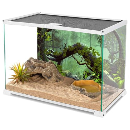 AWERT 60x24 inches Foggy Forest Terrarium Background Stone Green Tree Tropical Reptile Habitat Background Rainforest Aquarium Background Durable Polyester Background - size: 60x24in/150x60cm