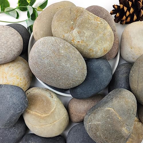 20lbs Natural River Rocks, 3"-4" Premium Pebbles for Garden | Landscape Design, Hand-Picked Smooth Stones for Fish Tank, Flower Pots, Indoor Water Fountains, Pathways, Backyard - size: 3-4 Inch
