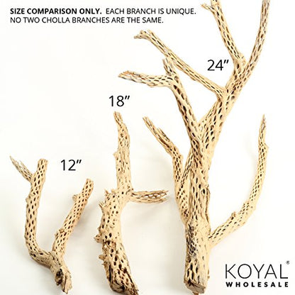Koyal Wholesale 24" Cholla Wood Aquarium Leopard Gecko Tank Accessories Untreated Large Driftwood for Aquarium Wood Hermit Crab Accessories Drift Wood for Shrimp Tank Gecko Accessories - size: 24-Inch