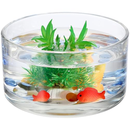 Toddmomy Clear Glass Bowl for Plants 5.9 Inch Round