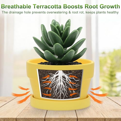 M METERXITY 6-Pack Shallow Terracotta Clay Pots, 4.3" Ceramic Small Plant Pots with Saucer and Drainage Holes for Succulent Plants/DIY Crafts, Terracotta Pottery Planters [Yellow] - color: Yellow