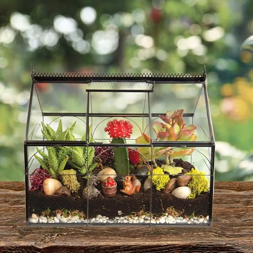 D'Eco Glass Greenhouse Plant Terrarium, Centerpiece & Wedding Letterbox | Tabletop Geometric Planter Terrarium, Dims 10x4.5x9", Fill with Succulents, Moss, Air Plants, Ferns & Seasonal Home Decor - size: Greenhouse
