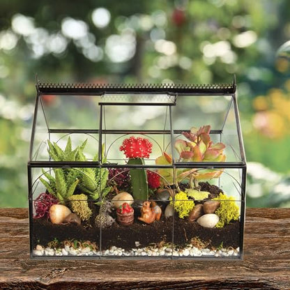 D'Eco Glass Greenhouse Plant Terrarium, Centerpiece & Wedding Letterbox | Tabletop Geometric Planter Terrarium, Dims 10x4.5x9", Fill with Succulents, Moss, Air Plants, Ferns & Seasonal Home Decor - size: Greenhouse