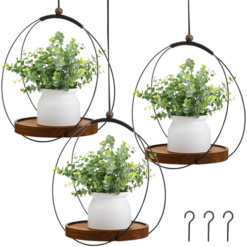 Threehoney 3 Pack 9.8'' Hanging Planter for Indoor Plants, Plant Hangers - size: 9.8''
