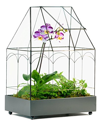 H Potter Large Glass Terrarium Wardian Case - 20" Tall - Indoor Planter | Hinged Roof | Metal Base | Tabletop Container for Orchids Ferns and Tropical Plants