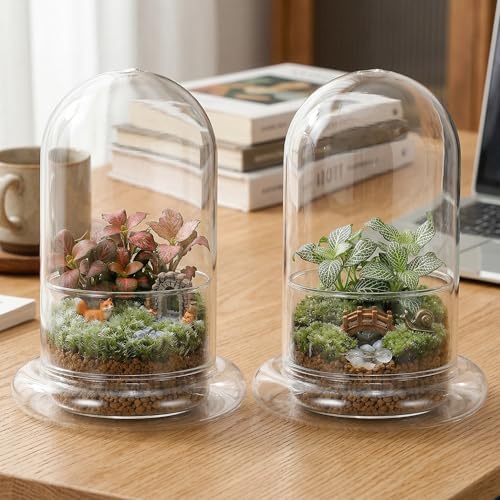 DOITOOL Micro Landscape Ecological Bottle Terrarium Jar 2 Pack High Borosilicate Glass Planter for Home Office Desk Decor 6.69X4.72X4.72In