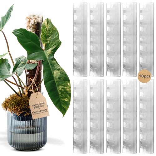 V3 GrowPole Medium 10 Pcs - Front Opening Plastic Moss Poles for Climbing Plants, D-shaped moss pole for Monstera Plant Support Plant Climbing Pole, Plastic Plant Pole Support for Philodendron - size: V3 GrowPole Medium 10 Pcs