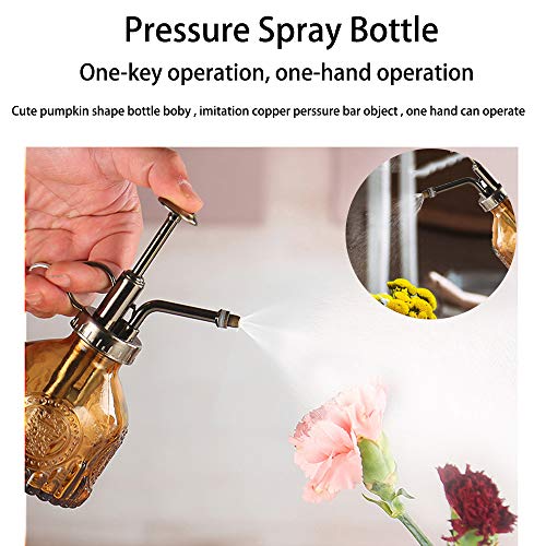Plant Mister Glass Spray Bottle Small Plant Watering Can 6.4" Tall Retro Indoor Watering Can Bronze Plastic Top Pump for Garden Indoor Plant Sprayer (Brown) - color: Brown