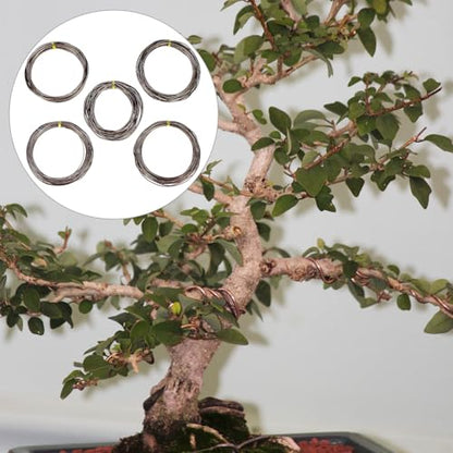 QWORK Anodized Aluminum Bonsai Training Wire with Cutter, 5 Sizes, Total 147 Feet (1.0mm, 1.5mm, 2.0mm, 2.5mm, 3.0mm), for Bonzai Trees Indoor