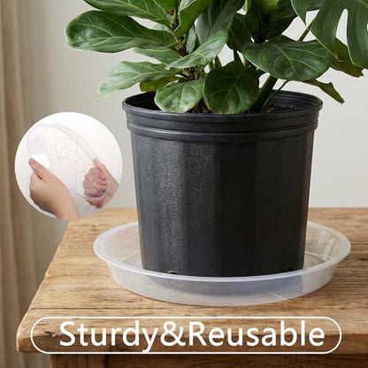 6Pack Plant Saucer, 3 5 7 9 11 13 15 17 19 21 in Plastic Plant Tray | Heavy Duty Plant Drip Trays, Clear Plastic Flower Pot Saucers, Plant Water Catcher Tray for Indoor Outdoor Planters (5 Inch) - size: 5 Inch