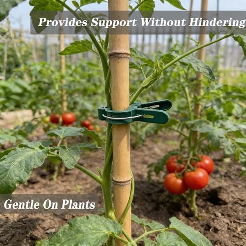 Plant Support Clips, 80 PCS, 2 Sizes