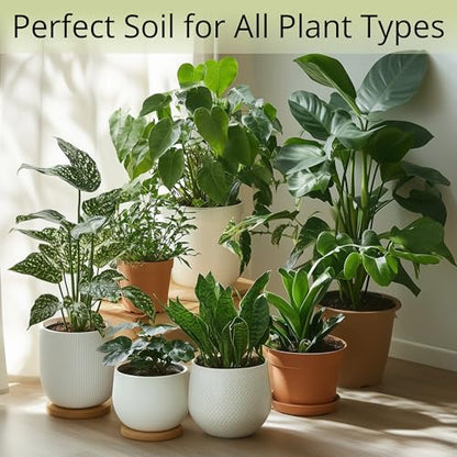 Coconut Coir Potting Soil for Indoor Plants - Expands to 3.5 Quart (7.5 lb) | Bonsai Soil Discs Perfect for General Houseplants, Herbs, and Bonsai Trees - Expands with Water - size: 3.5 Quart