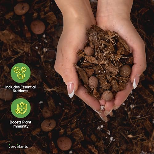 Molly's Aroid Potting Mix, Chunky Soil-Free for Indoor Plants, 5 Dry Quarts - size: 5 Dry Quarts, style: Houseplants & Aroids