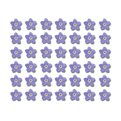 Leadigol Blue Forget Me Not Flowers,Don't Forget Me Dried Flower,Natural Real Dried Pressed Flowers, for Scrapbooking Art Crafts,Jewelry Soap Making,Nails Art Flowers Decorations