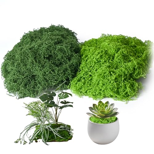 Fake Moss for Plants Indoor, 7OZ Dual-Color Artificial Moss for Crafts, Realistic Faux Moss for Terrariums, Fairy Gardens, Potted Plants, DIY Home Decor, Glass Jars, Light & Dark Green（200g） - size: 200