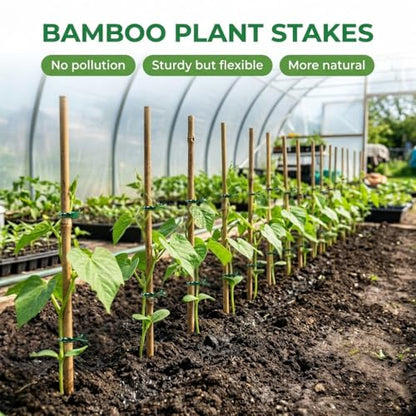 Plant Stakes Natural Bamboo Sticks - 35 Pcs Bamboo Garden Stakes for Plants 4 FT Plant Support Sticks with Twist Ties for Tomatoes Beans Flowers Indoor Outdoor Potted Climbing Plants - size: 4ft,35PCS