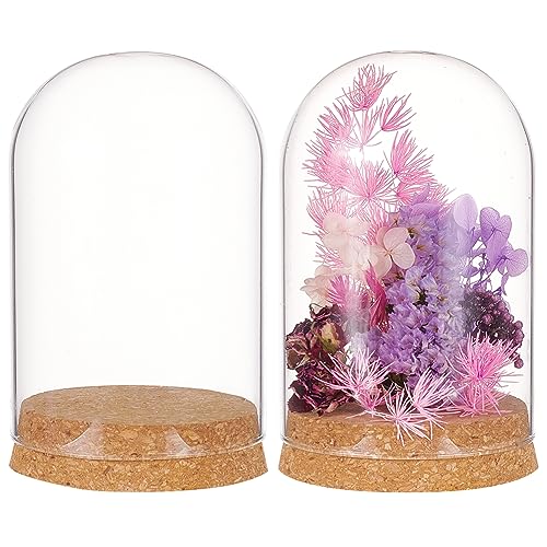 BENECREAT 2 Set Glass Display Dome with Cork Base, 3.14x4.6 inch Tabletop Centerpiece Cloche Bell Jar for Flower Plants, Specimens, Crafts Decorations, Inner Diameter: 76mm | Tabletop Centerpiece Cloche Bell Jar, For Flower Plants, Specimens, Crafts Decor