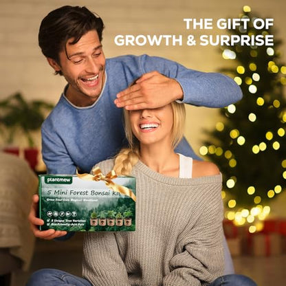 Christmas Gifts & Crafts for Adults - Bonsai Tree Starter Kit with 5 Unique Japanese Trees | Complete DIY Gardening Kit for Birthday | Gifts for Women, Men, Mom, Dad, Plant Lovers