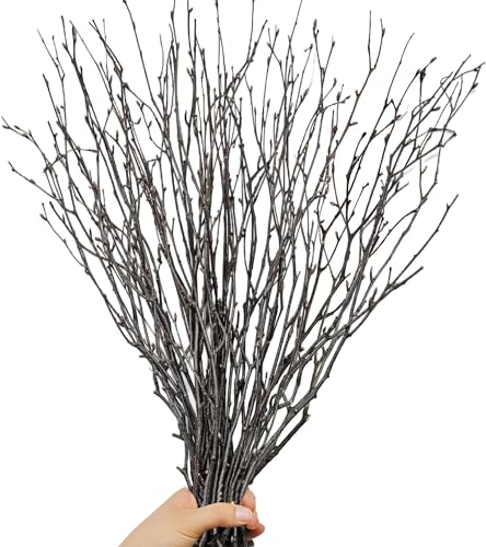30Pcs Real Dried Birch Twigs - 16” Decorative 100% Natural Birch Branches - size: 30