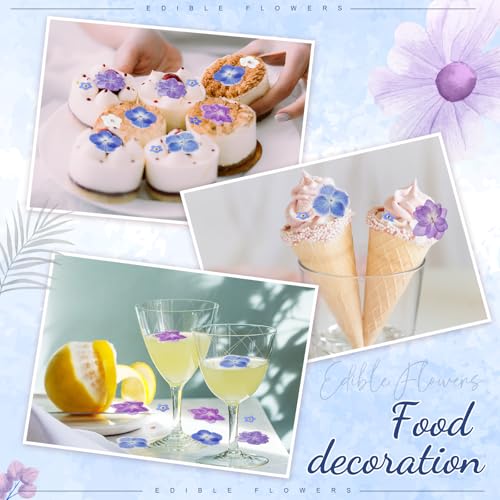 96 Pcs Pressed Edible Flowers, Blue, Flower Style | Natural Dried Flowers for Cake Topper Cupcake, Cocktails Garnish, Resin Jewelry DIY, Soap, Candle Making Art Crafts - color: Blue, style: Flower Style