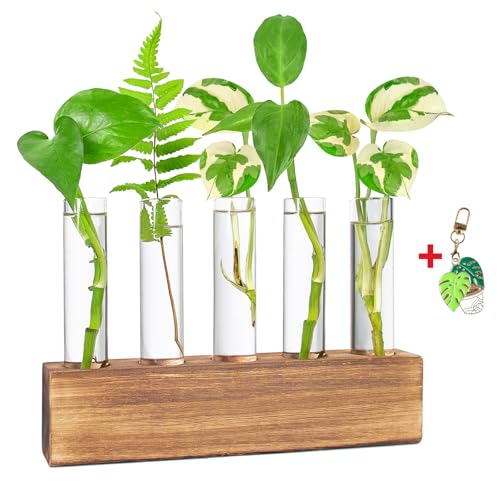 Plant Propagation Station, Plants Propagation Tubes - color: Beige, size: 5 Tubes