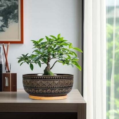 G EPGardening 8 Inch Ceramic Succulent Planter Pots for Indoor Plants Round Shallow Bonsai Planter Pot with Drainage and Bamboo Saucer, Black - color: Black
