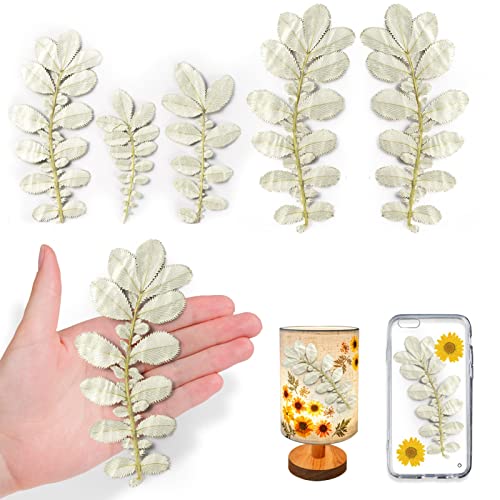 Dried Pressed Leaves for Resin, 42PCS White Natural Real Dry Antiwhite Leaves for Resin Art DIY Craft Card Scrapbooking Candle Making Phone Case Wedding Decoration - color: Antiwhite Leaves
