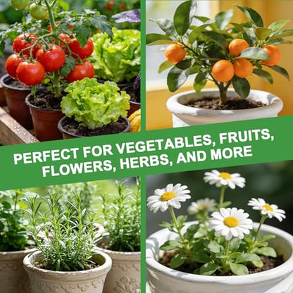 Organic Seed Starter Soil and Potting Mix 1qt ，100% Natural,Promotes Rapid Rooting & Germination - color: Sendling Soil, size: 1QT