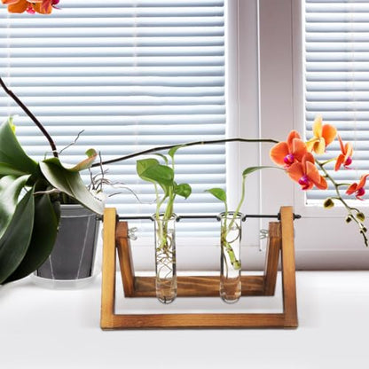 UKCOCO 5Pcs Glass Test Tube Vases 4.33 Inch Clear Propagation Tubes for Plant Cuttings Hydroponic Plant Holders Desktop Floral Arrangement for Home Office Decor