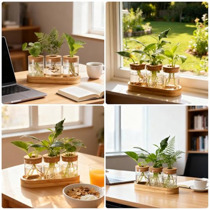 Plant Propagation Stations,3 Pcs Glass Vases with Wooden Stand &Lid - size: 8.7"L x 3.5"W x 4.7"H
