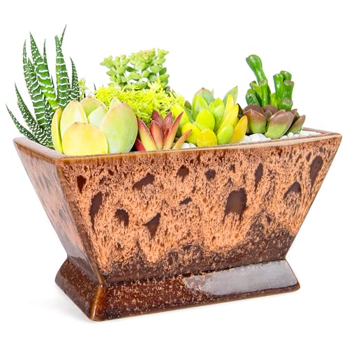 Succulent Pots - 7 Inch Large Plant Pot with Drainage, Ceramic Bonsai Pots - color: Orange