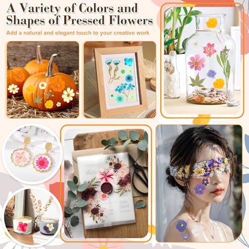 120 PCS Real Pressed Flowers, Natural Dried Pressed Flowers for Resin, Dried Florals Dry Flowers Leaves Kit with Tweezers for Scrapbooking DIY Art Crafts, Mother’s Day Birthday Gift - size: 120 Pcs Pressed Dried Flowers with Tweezers