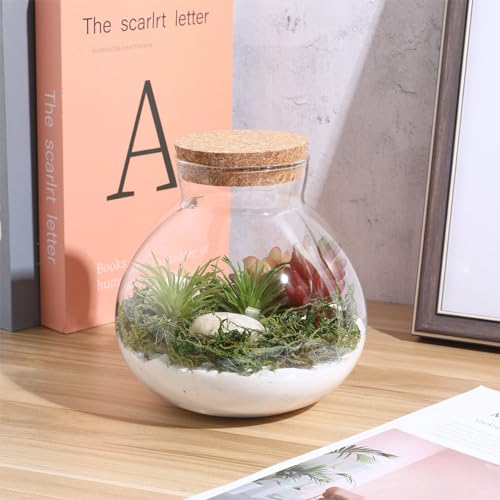 Toddmomy 1pcs Small Glass Plant Terrarium,Desktop Glass Succulent Plant Terrarium with Wooden Lid for Home, Garden, Office Decoration