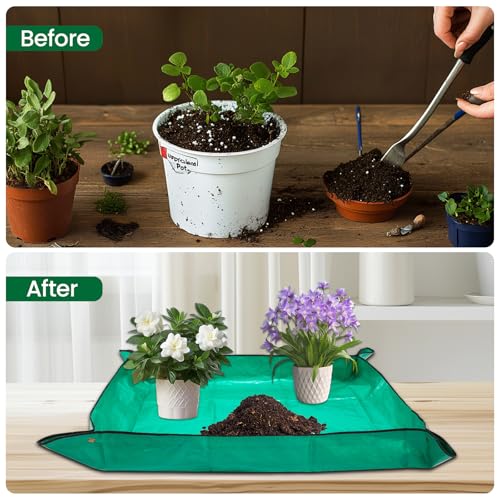GROWNEER Large Bonsai Training Pots 3 Packs 14 Inch with Drainage Humidity Trays & Repotting Mat, Bonsai Tree Pot Starter Kits, Growing Rectangle Planter for Garden Yard Office Indoor Outdoor - size: 3pcs/14x10.3in