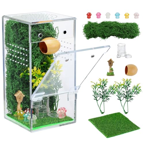 Escape-Proof One-Piece Jumping Spider Enclosure Accessories, Terrarium Kit