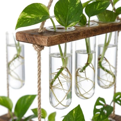Plant Propagation Hanging Station, 3 Tier Wall Hanging Terrarium with Wooden Stand, Flower Vase Test Tube Glass Planter Stations for Hydroponic Cuttings, Home, Garden, and Office Decor