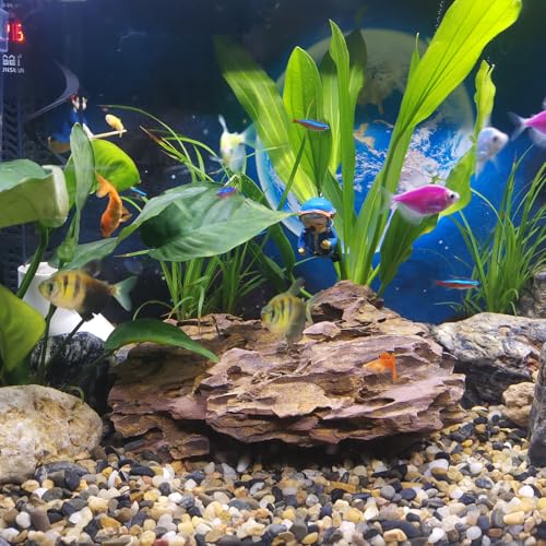 20LB Aquarium Gravel, 1/4" Pea Gravel for Fish Tank, Small River Rocks for Garden Decoration, Landscaping, Vase Filling, Flower Pot Paving(4-8MM) - size: 20LB, style: 4-8MM