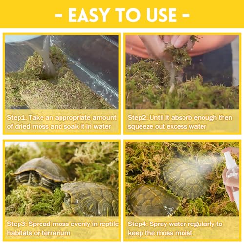 Riare 2.6lb Natural Sphagnum Moss for Reptiles, Terrarium Substrate Bedding | High Expansion, Moisture Retention, Helps Shedding, Long Fibered Dried Moss for Leopard Gecko, Snake, Frog, Turtle - color: 2.6 LB