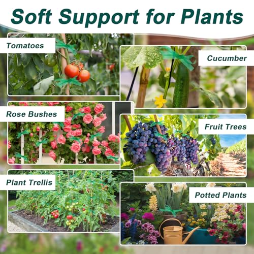 MAQIHAN Stretch Garden Tape Roll - 1/2" Plant Tape for Climbing Plants | Reusable Vinyl Plant Ties for Outdoor Plants, Green Gardening Tapes for Tomatoes, Flowers, Branches, Tree Support, 150 Feet