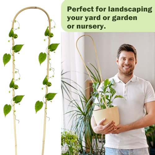 Jollybower Natural U-Hoops Bamboo Plants Trellis 3Ft, Garden Trellis U-Shape for Climbing Plants, Garden Arch Trelli Support for Potted Plants, Vines, Ivy Climbing Plants, Flowers-3 Pack - size: U-Shaped 3Ft